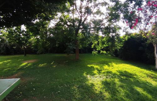 Casa Rural La Alcazaba - Foto 11