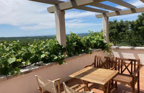 Villa Oliva Istria - Foto 34