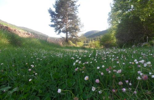 Casa Rural Las Dalias con Hidromasaje - Foto 74