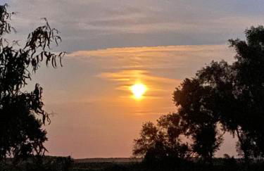 Ferienwohnung Thees - Foto 16