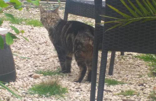 The LITTLE HOUSE in HULL - Foto 23