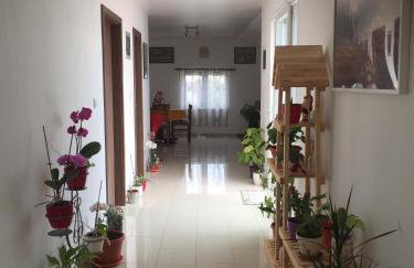 Apartments by the sea Lun, Pag - 11781 - Photo 26