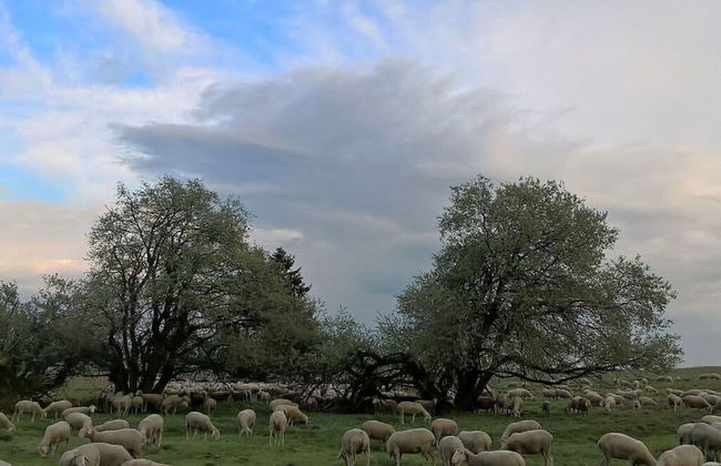 Apartment in Olsberg - Foto 16
