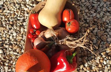 Gîte Paimpol Le Poullou - Photo 58