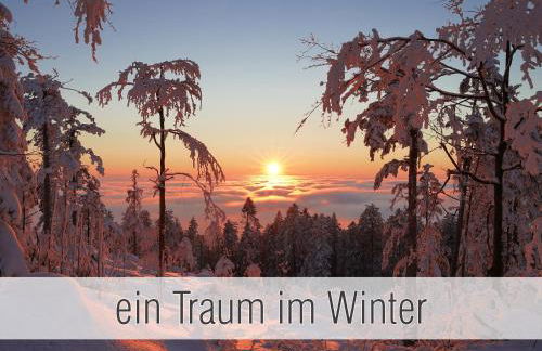 Hütte41: Ganze Hütte nah am See mit privatem Whirlpool, Sauna. Umzäunt. - Foto 26