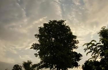 The Farmhouse ranch with lower level suite - Foto 18