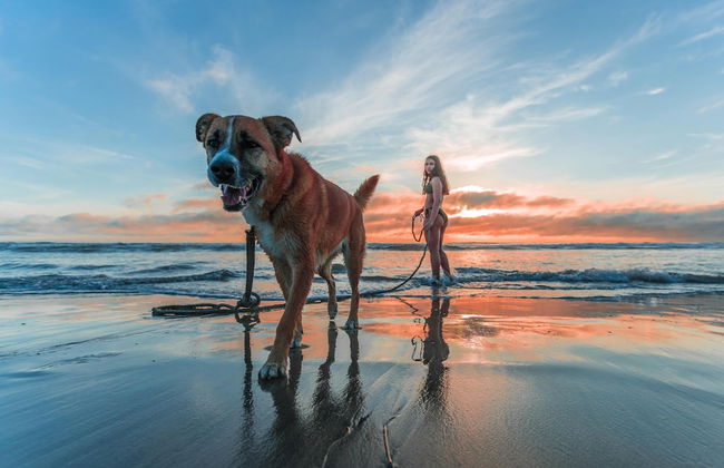 Azureva Longeville-sur-Mer - Foto 10