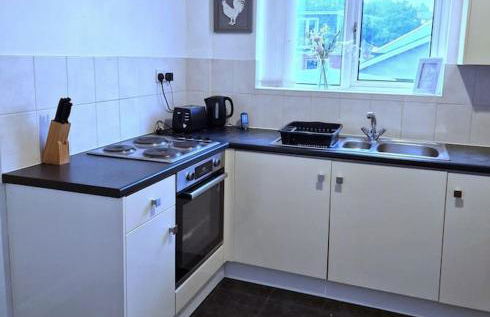 A warm welcome from Wales 1 Mile from the ICC - Foto 3