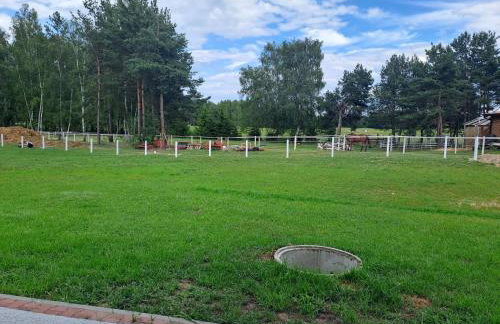 Stajnia Małszewo - Photo 11