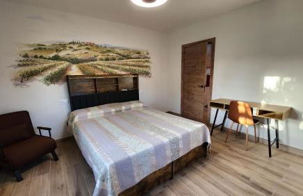 Agroturismo Viña Inés Toledo - Photo 14