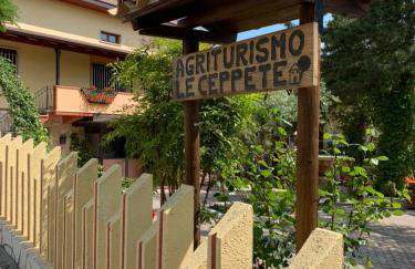 Le Ceppete - Foto 1