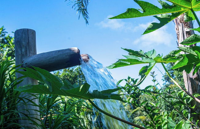 Quinta do Brasil Trancoso - Foto 51