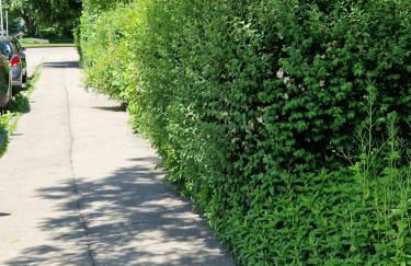 Ferienwohnung Leo - Foto 22