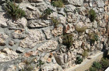 Holiday home Barci - Foto 16