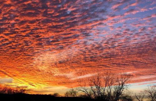 Perfect Country-Side Get-Away - Photo 35