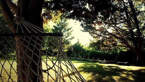 La Francigena - Foto 3, Garden, Garden view