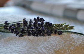 Domki na Górniej Łące - Domek Górny - Foto 48