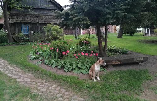 Domek na wsi Wiejsko Czarodziejsko - Agroturystyka Podlasie - Foto 63