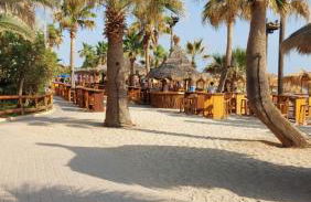 Unique, Stylish Studio near Beaches - Foto 42