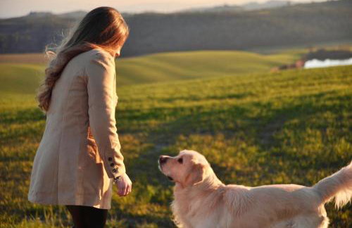 Agriturismo Pieve Sprenna - Foto 74