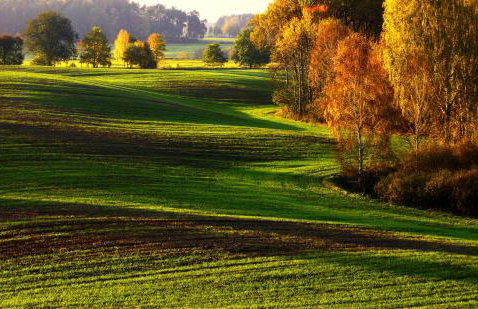 Zezuj Agroturystyka i Łowisko - Photo 49