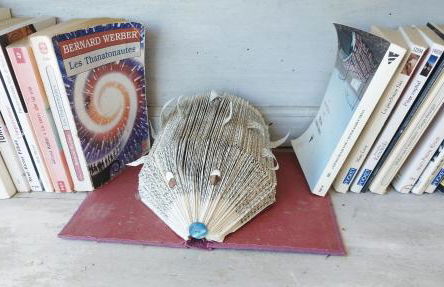 Petit chemin des Flouries - Foto 14