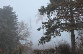 Quartier132 - Photo 25