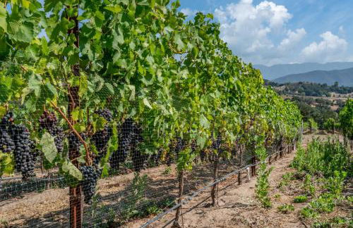 Ballard Canyon Ranch by Paradise Retreats - Foto 13