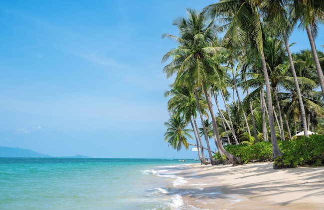 2-bdr luxury villa at a villa resort - Foto 20