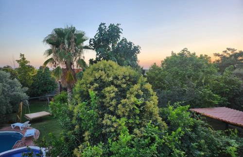 Finca La Ermita de Salinas-Rural House-Talavera-TO - Foto 32