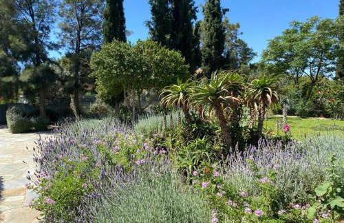 Villa-Agave , by the sea in Porto-Rafti outside Athens - Foto 43