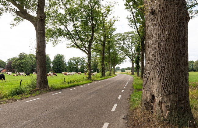 Cozy Apartment in Enschede near Forest - Foto 30