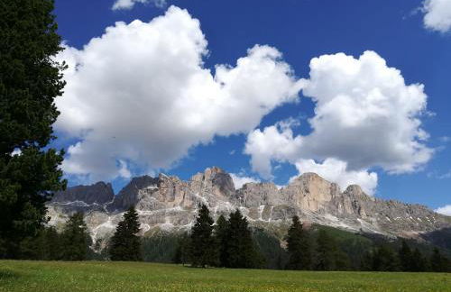 Residence Grand Hotel Carezza - Foto 67