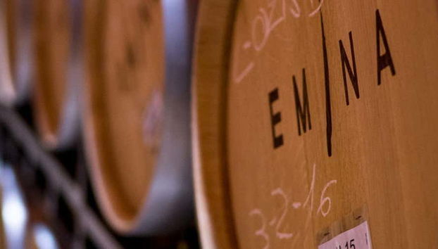 Visita alla cantina Emina Ribera