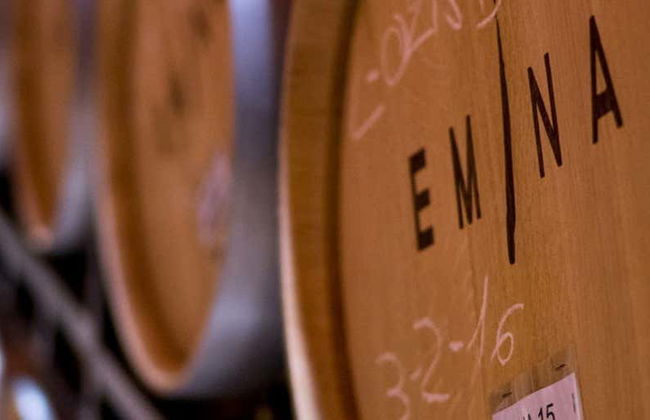 Visita alla cantina Emina Ribera - Foto 4