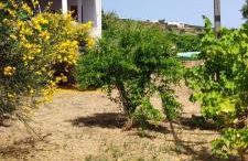 Il Dammuso di Tracino - Foto 73