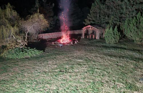 Dom Na Szlaku Mazury - Photo 38