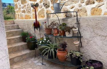 «  La PETITE MAISON » ....Des grands espaces... - Foto 27