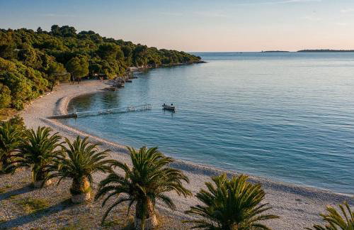 Apartment Punta - Foto 43