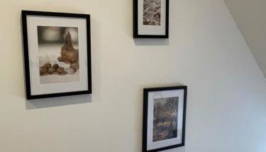 Apartment im Wald - mit Schwimmbad! - Foto 5