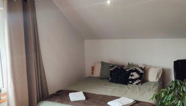 Apartament Loft na Kaszubach - Laskowa Góra Bieszkowice - Foto 1