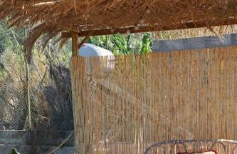 The Tortuga Banana House - Foto 9