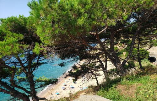 Apart.3 habit.mar-mont. AC-Terraza-ascensor-parking - Foto 29