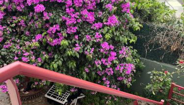 House with patio and air conditioning - Foto 4