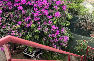 House with patio and air conditioning - Foto 4