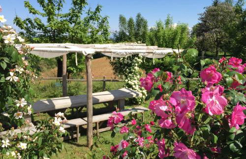 TENUTA MONTEGRANDE 1893 - Foto 11