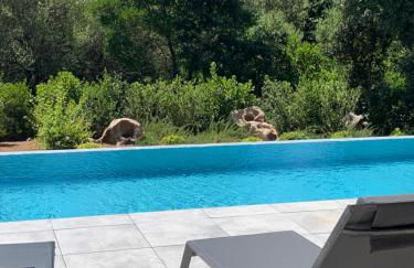 DOMAINE NAPOLEON CORSICA FIGARI - Foto 1