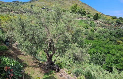 Villa Margot - Authentic sea view countryside villa - Foto 68