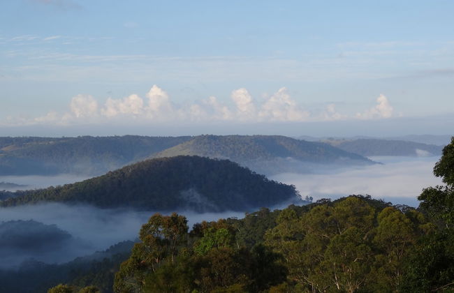 Maleny Luxury Cottages - Foto 20