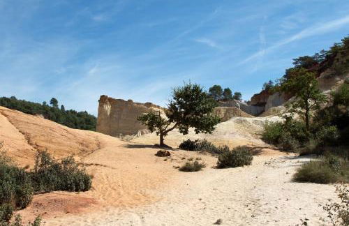 Le gite de lOlivier en Provence - Foto 37